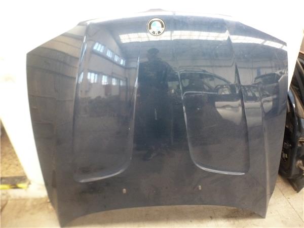 capo bmw serie x3 e83 2004 20d 20 ltr 110