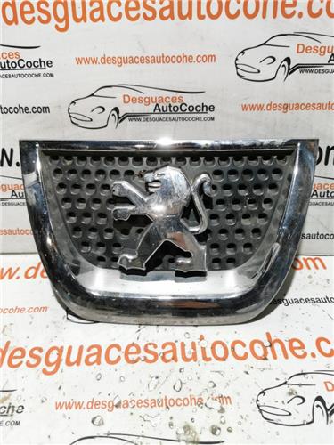 rejilla paragolpes delantero peugeot 3008 052