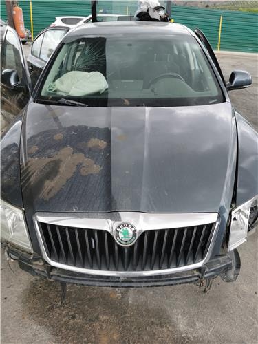 capo skoda octavia berlina 1z3 2008 16 activ