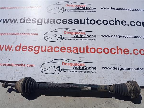 palier delantero derecho volkswagen passat be