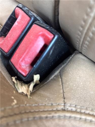 anclaje cinturon trasero izquierdo volkswagen