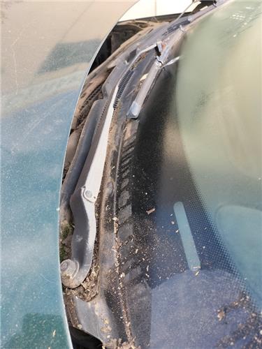 brazo limpiaparabrisas delantero izquierdo pe