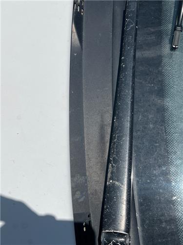 brazo limpiaparabrisas delantero izquierdo pe