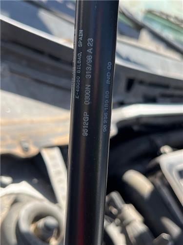 amortiguador derecho capo citroen xsara berlina (1997 >) 1.9 sd sx [1,9 ltr.   55 kw turbodiesel cat (dhv, dhw / xud9bsd)]