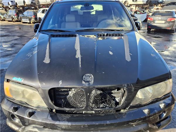 capo bmw serie x5 (e53)(2000 >) 3.0d [3,0 ltr.   135 kw 24v turbodiesel cat]