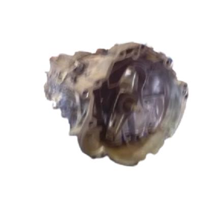 caja cambios manual audi a4 berlina b5 021999