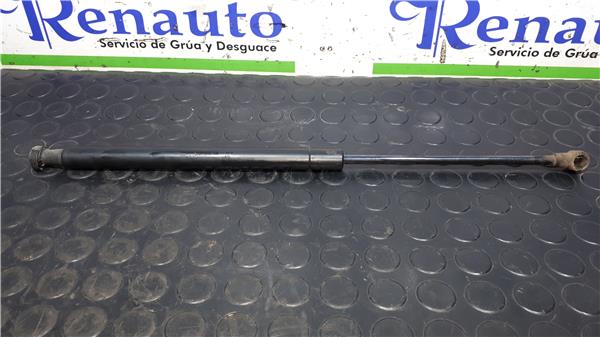 amortiguador porton trasero izquierdo toyota