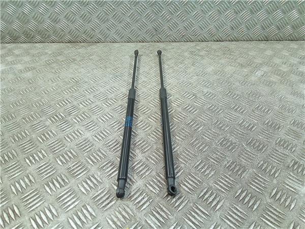 amortiguador porton citroen c4 cactus 2014 1