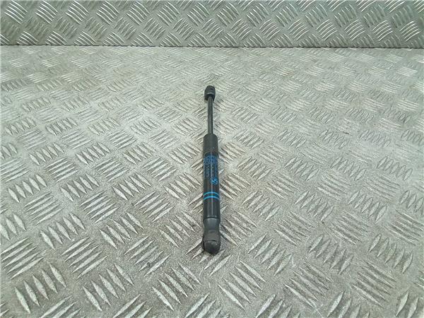 amortiguador capo bmw serie 3 touring f31 201