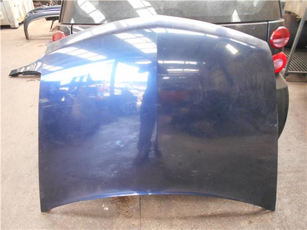 capo renault vel satis (bj0)(2002 >) 3.0 dci (bj0n)