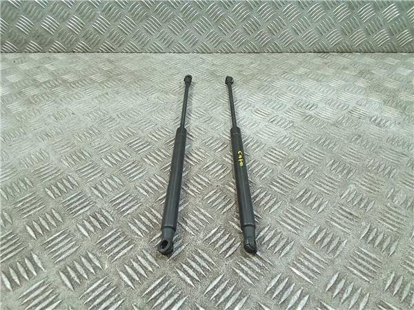 amortiguador capo land rover discovery 082004