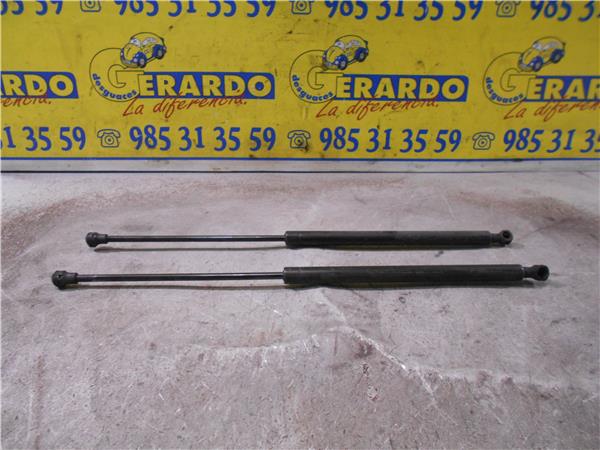 amortiguador capo renault vel satis bj0 2002