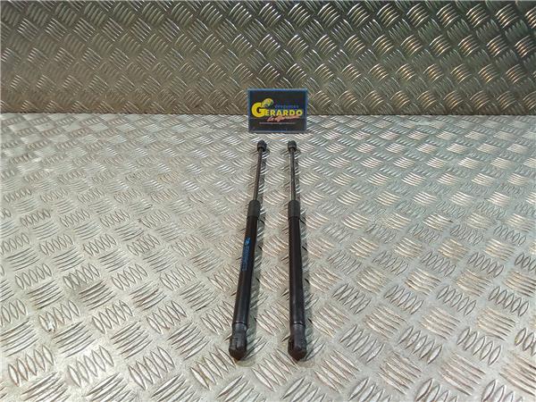 amortiguador porton peugeot 3008 bhdi 16 120