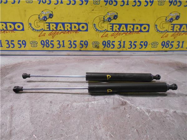 amortiguador porton renault vel satis bj0 200