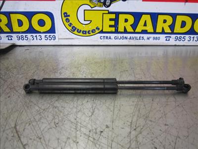 amortiguador capo bmw serie 3 touring e46 199