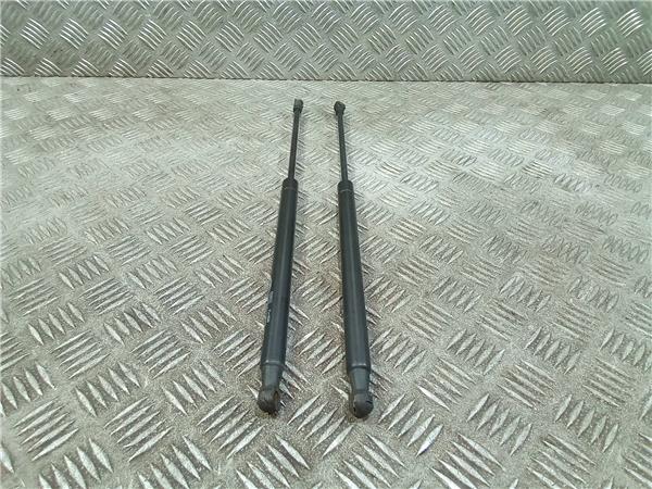 amortiguador porton land rover discovery 0820