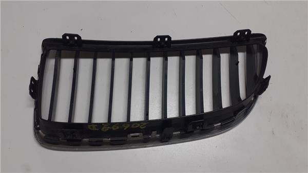 rejilla capo bmw serie 3 berlina e90 2004 20