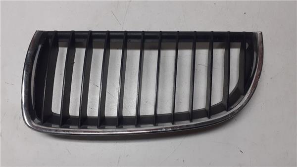 rejilla capo bmw serie 3 berlina e90 2004 20