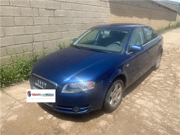 nucleo abs audi a4 berlina (8e)(2004 >) 2.0 tdi 16v (103kw) [2,0 ltr.   103 kw tdi]