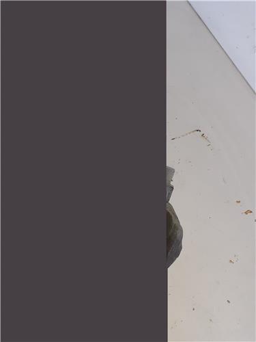 pinza freno trasero izquierda mercedes benz c