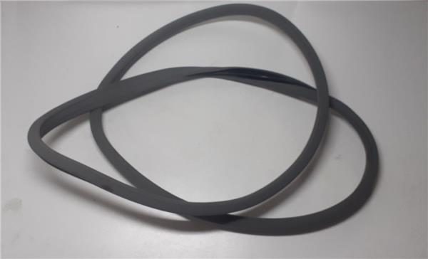 goma contorno inferior puerta delantera izqui