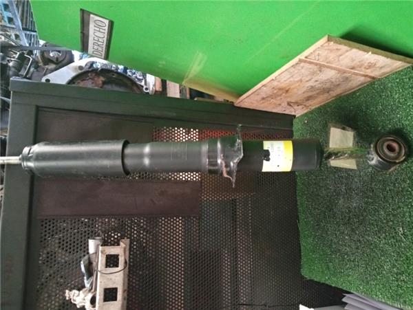 Amortiguador Trasero Izquierdo Land