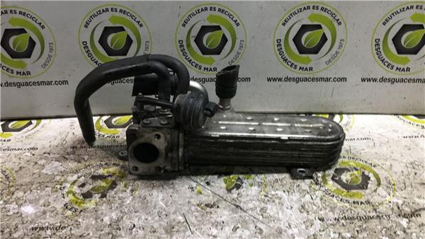 enfriador gases egr volkswagen passat berlina