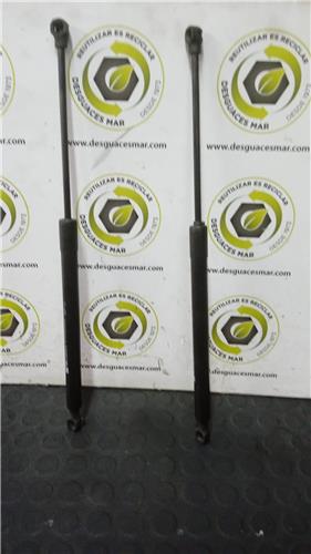 amortiguador porton renault clio iv 2012 15