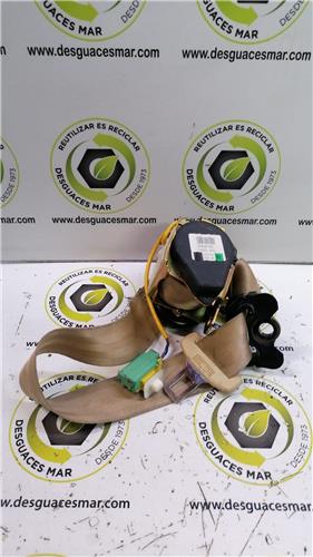 cinturon seguridad trasero derecho volkswagen
