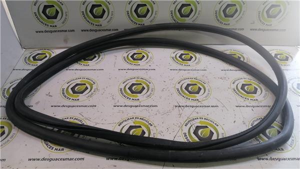 goma contorno inferior puerta delantera izqui