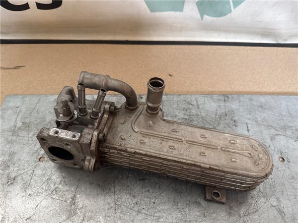 enfriador aceite volkswagen passat berlina 3c