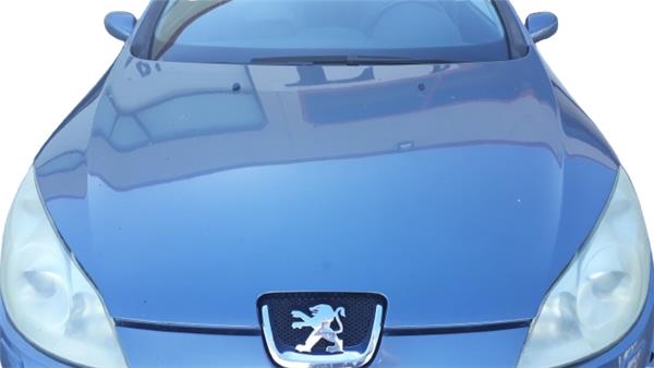 capo peugeot 407 (2004 >) 2.0 hdi 135