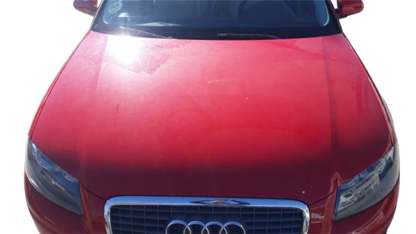 capo audi a3 8p1 052003 19 tdi ambiente 19 l