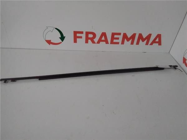 Cejilla Exterior Puerta Trasera 2009