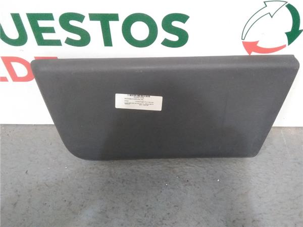 moldura puerta delantera izquierda citroen ju