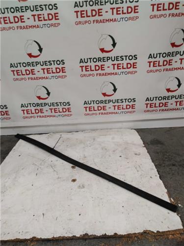 moldura puerta delantera derecha toyota land
