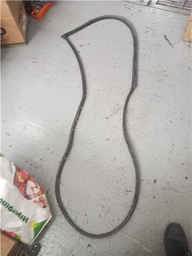 goma contorno inferior puerta delantera izqui