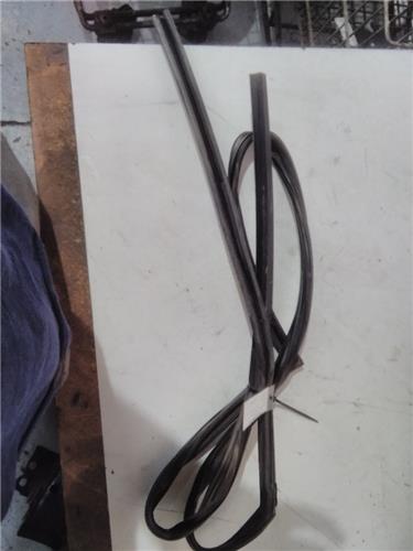 guia delantera luna puerta delantera izquierd