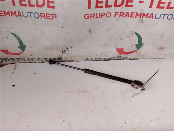 amortiguador porton trasero izquierdo toyota