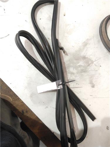 guia delantera luna puerta delantera derecha