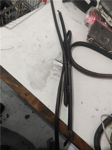 guia delantero luna puerta trasera derecha to