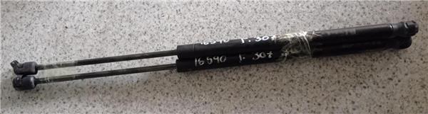 amortiguador porton peugeot 307 break sw s2 0