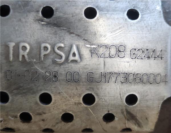 Catalizador Citroen Xsara Berlina i