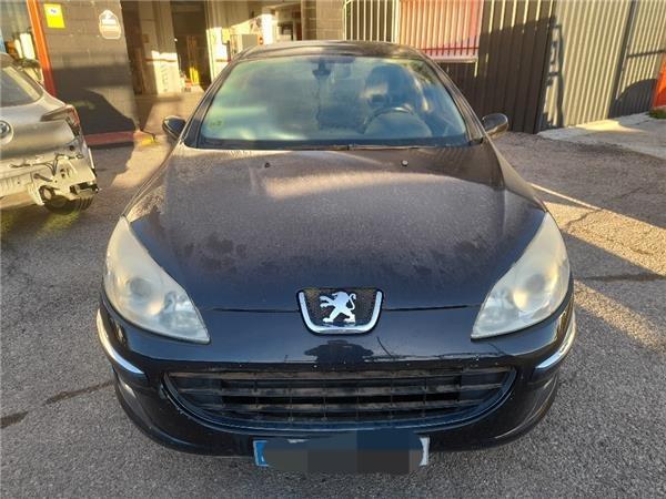 capo peugeot 407 (2004 >) 2.0 st confort [2,0 ltr.   100 kw 16v cat (rfn / ew10j4)]