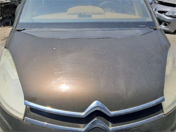 capo citroen grand c4 picasso 102006  16 busi