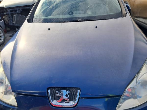 capo peugeot 407 (2004 >) 2.0 st sport [2,0 ltr.   100 kw 16v hdi cat (rhr / dw10bted4)]