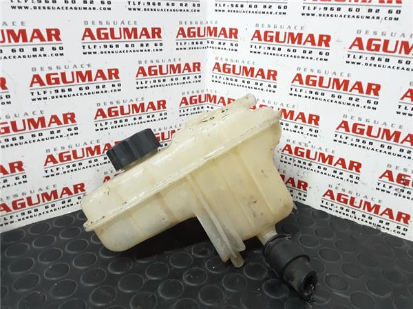 botella expansion peugeot 407 (2004 >) 2.0 hdi