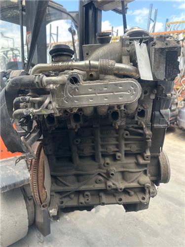 motor completo seat leon (1p1)(05.2005 >) 1.9 tdi