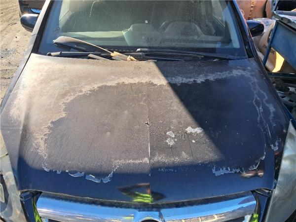 capo opel zafira b 2005 19 enjoy 19 ltr 88