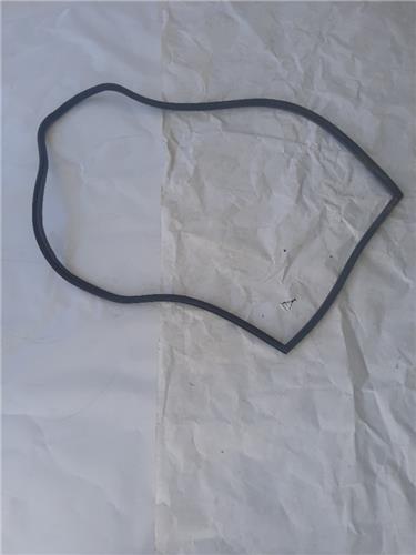 Goma Contorno Puerta Trasera Land